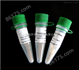 BCA（bicinchoninic acid）  BCA蛋白浓度测定试剂盒说明书