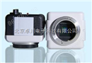 供应CCD工业相机