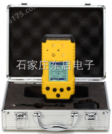 便携式二氧化氯检测仪 手持二氧化氯报警仪 防爆二氧化氯测量仪