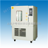 SM010A霉菌试验箱/上海实验仪器厂不锈钢霉菌试验箱