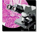 *代理！北京显微镜CX31---热线13811719035