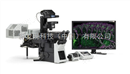 FV1200双扫描激光共聚焦显微镜
