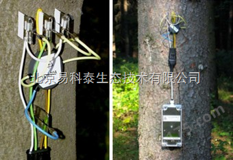 EMS-51便携式树木茎流监测仪
