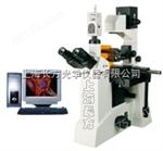 CFM-550EC/CFM-550ZD上海长方科研倒置数码荧光显微镜